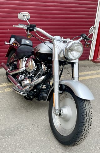 Silver and black anniversary  2003 HARLEY DAVIDSON FLSTFI Anniversary fatboy  - Photo 12