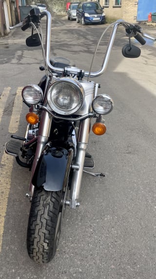 Black  1998 HARLEY DAVIDSON FLSTF - Photo 14