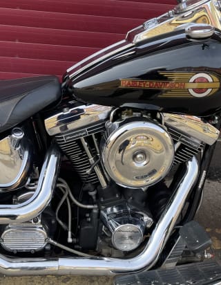 Black  1998 HARLEY DAVIDSON FLSTF - Photo 27