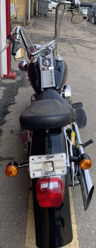 Black  1998 HARLEY DAVIDSON FLSTF - Photo 32