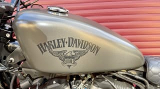 GREY 2018 HARLEY-DAVIDSON XL 883 N IRON 18 - Photo 8