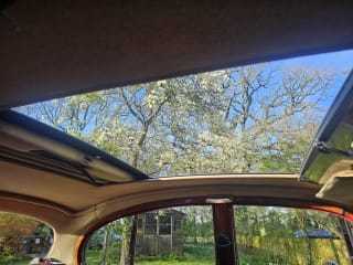 CREAM 1967 JAGUAR 3.4 S TYPE - Photo 36
