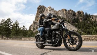 GREY 2018 HARLEY-DAVIDSON XL 883 N IRON 18 - Photo 19