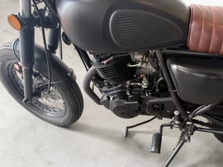 BLACK 2020 MUTT MONGREL 250 - Photo 33