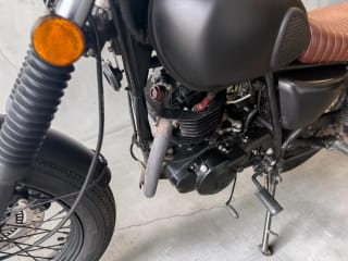 BLACK 2020 MUTT MONGREL 250 - Photo 36