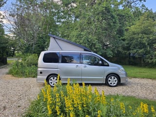 SILVER 2010 NISSAN SERENA - Photo 6