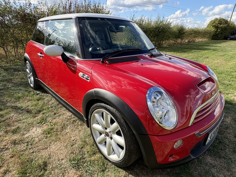 David Paul Automotive stock