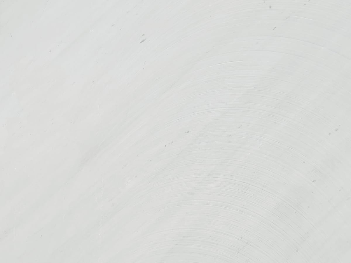 南斯拉夫白