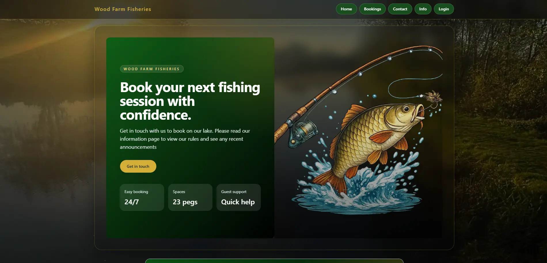 Image of client's website