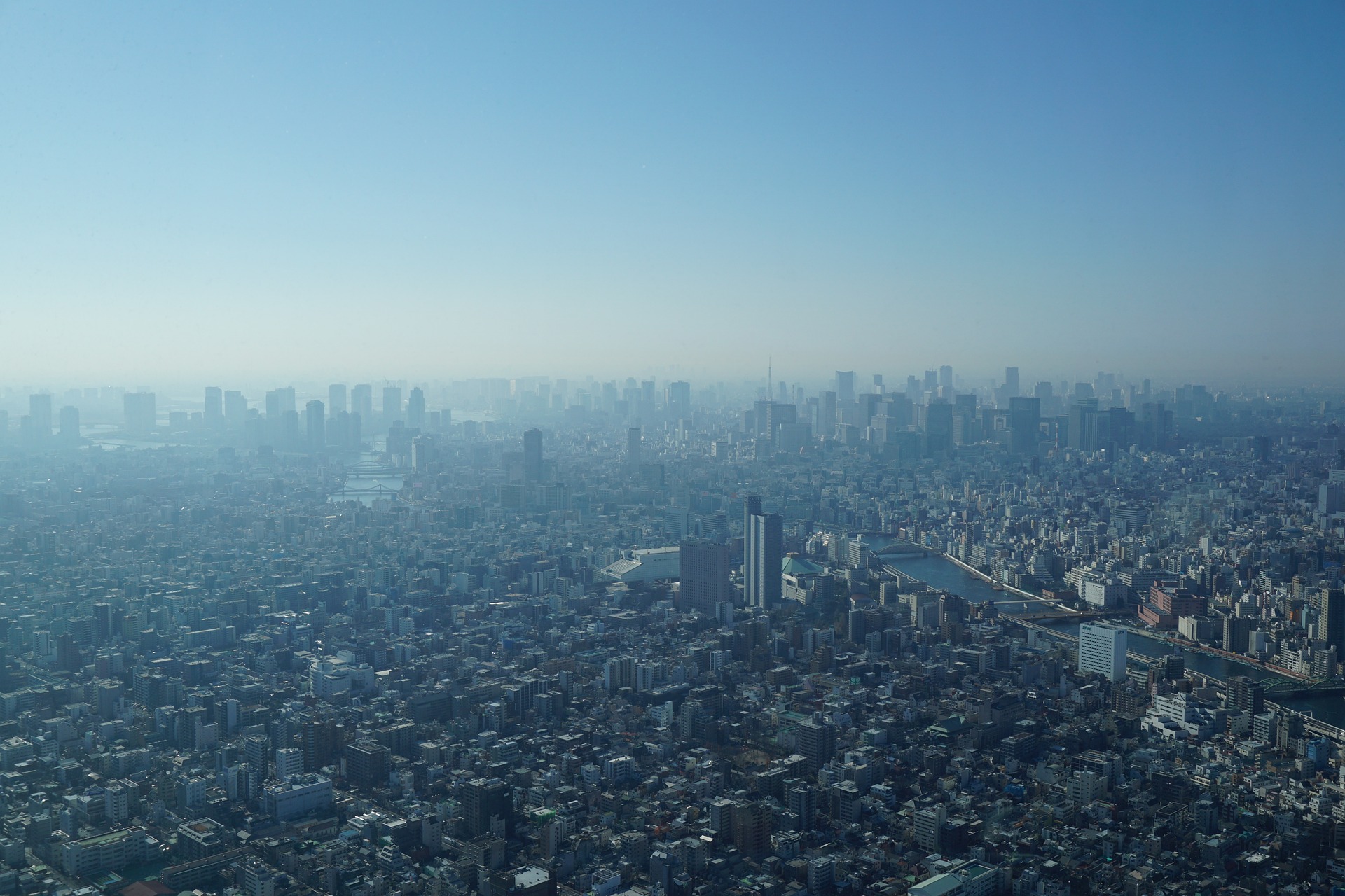 Japón