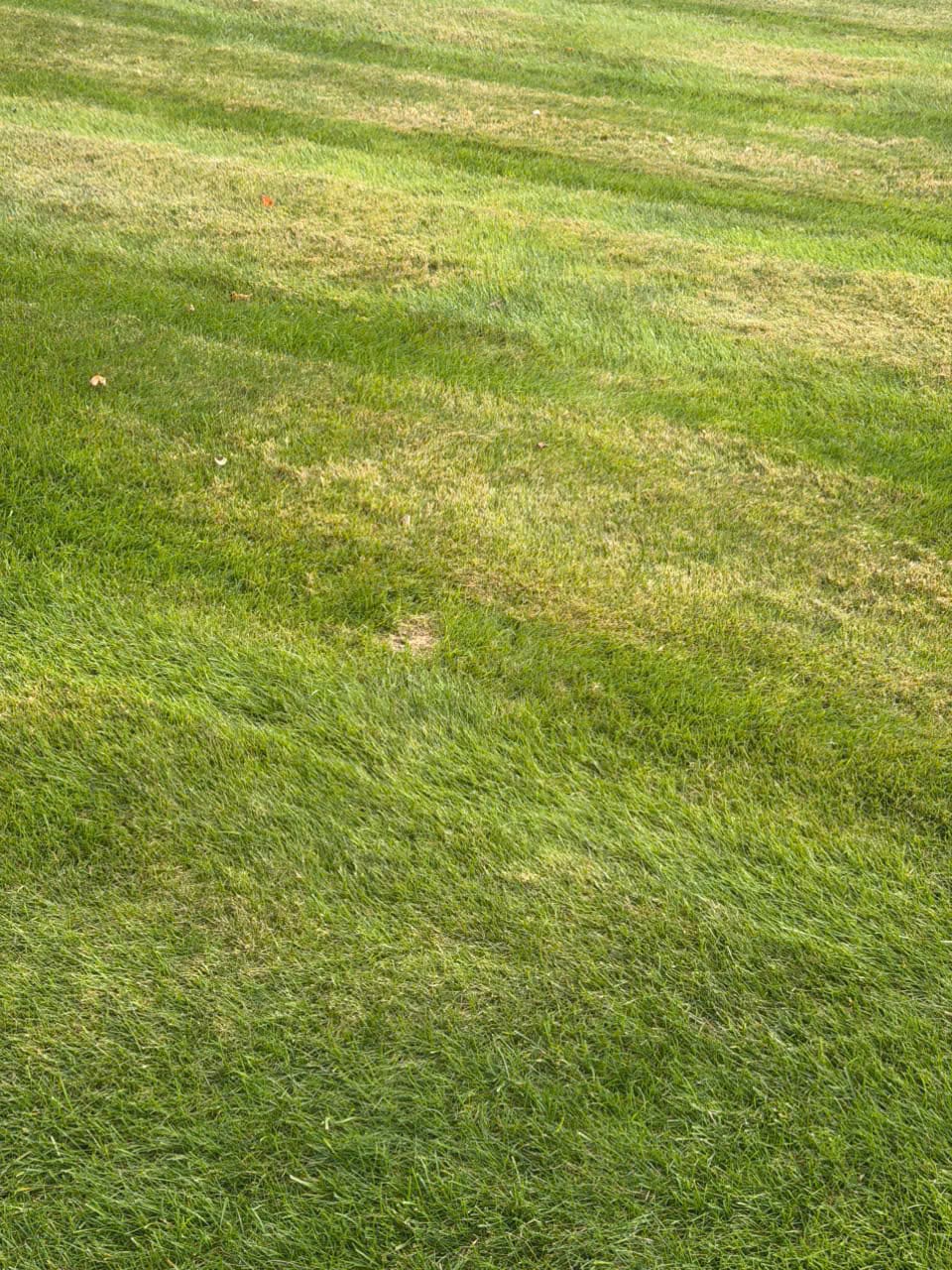 observation photo