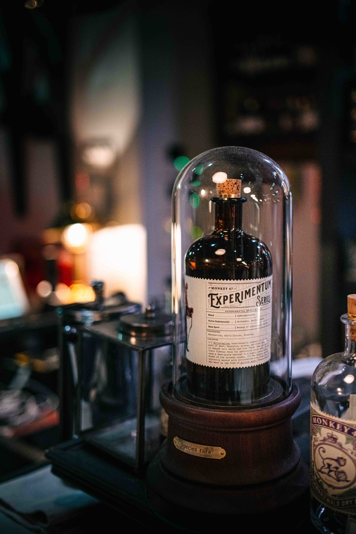 Bar TRIAD, Tokyo: The Taste Map (4)