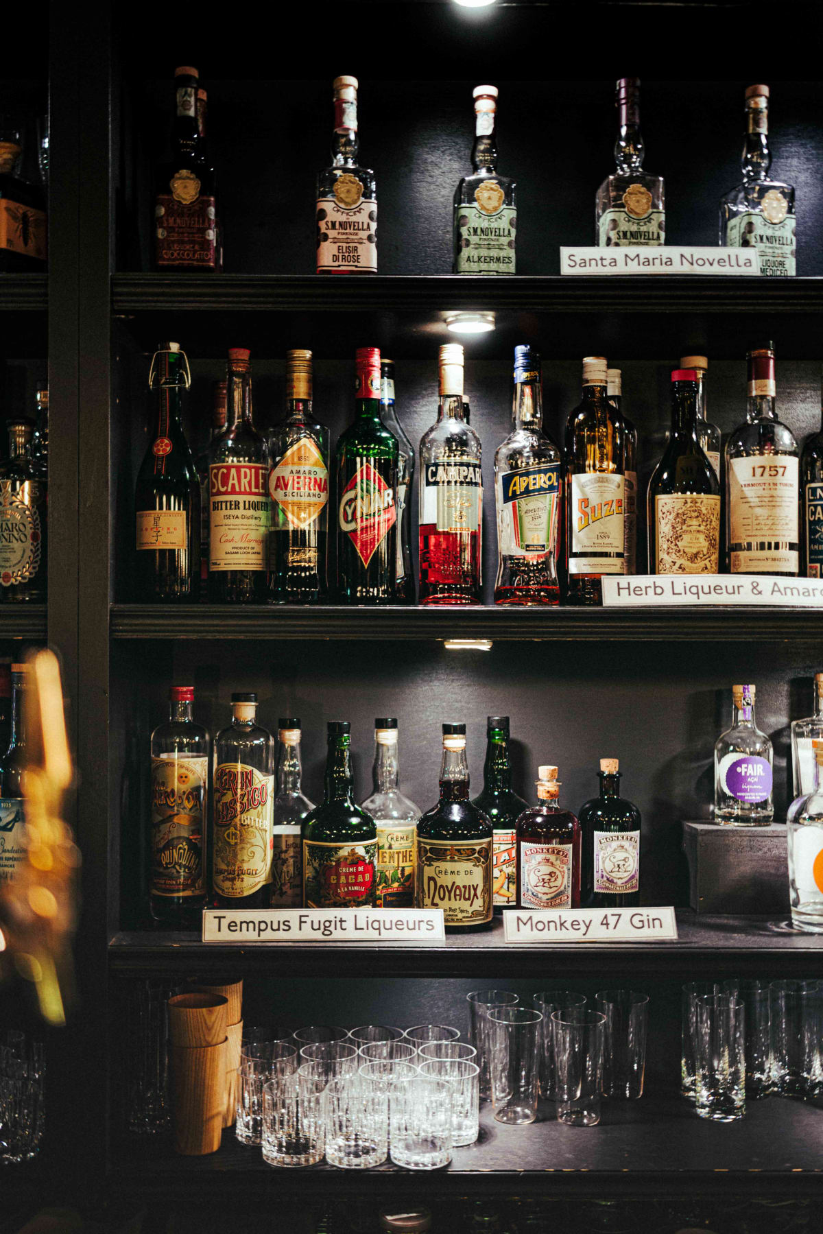 Bar TRIAD, Tokyo: The Lineage (1)