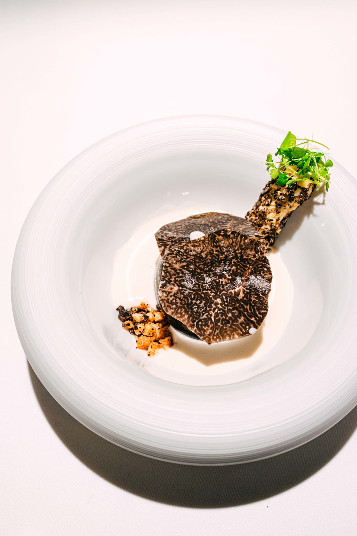 Hommage, Tokyo: Egg of Old (4)