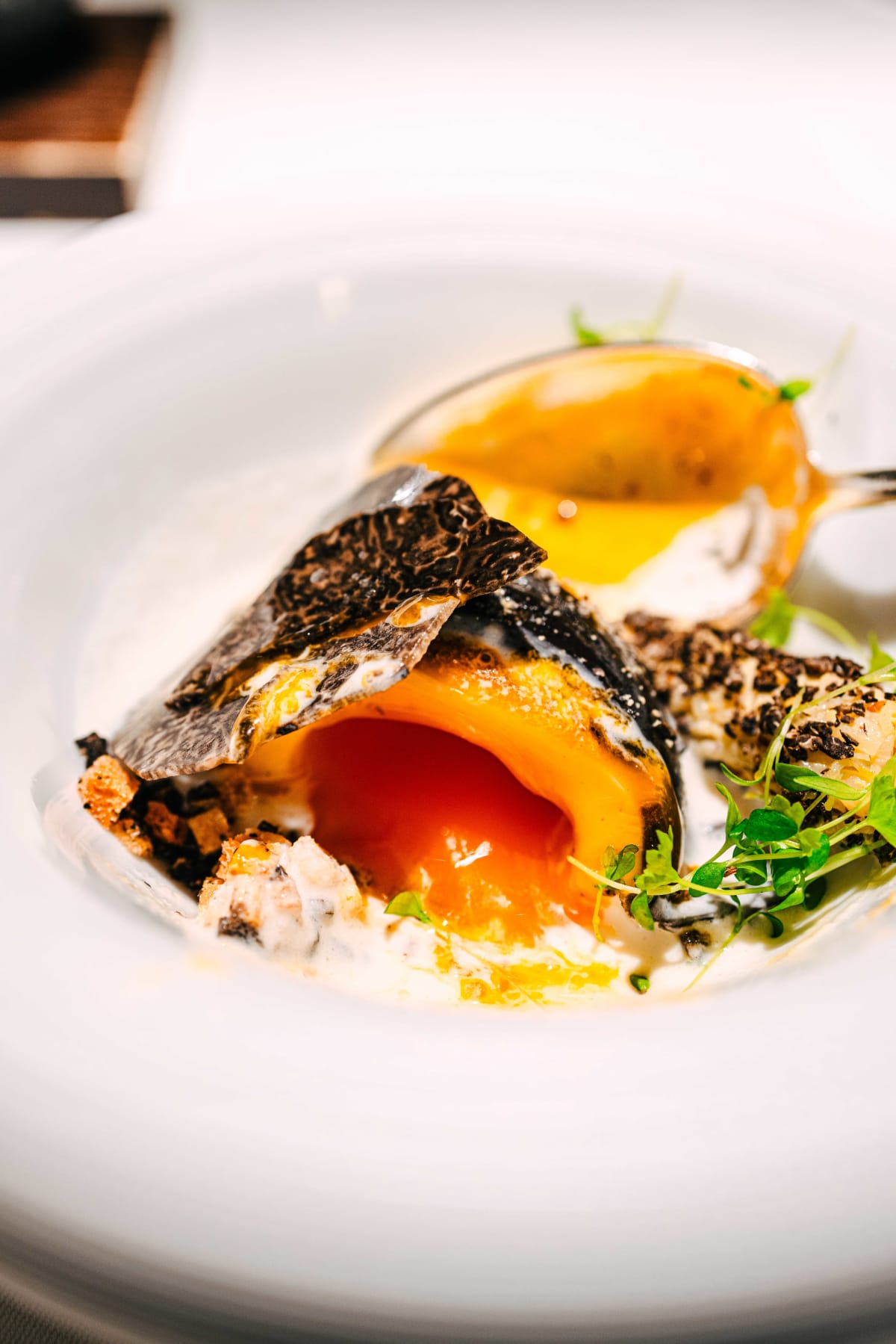 Hommage, Tokyo: Egg of Old (5)