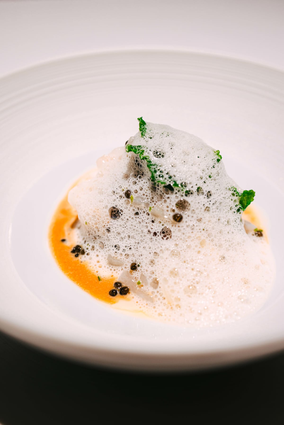 Hommage, Tokyo: The Sea Bream (3)