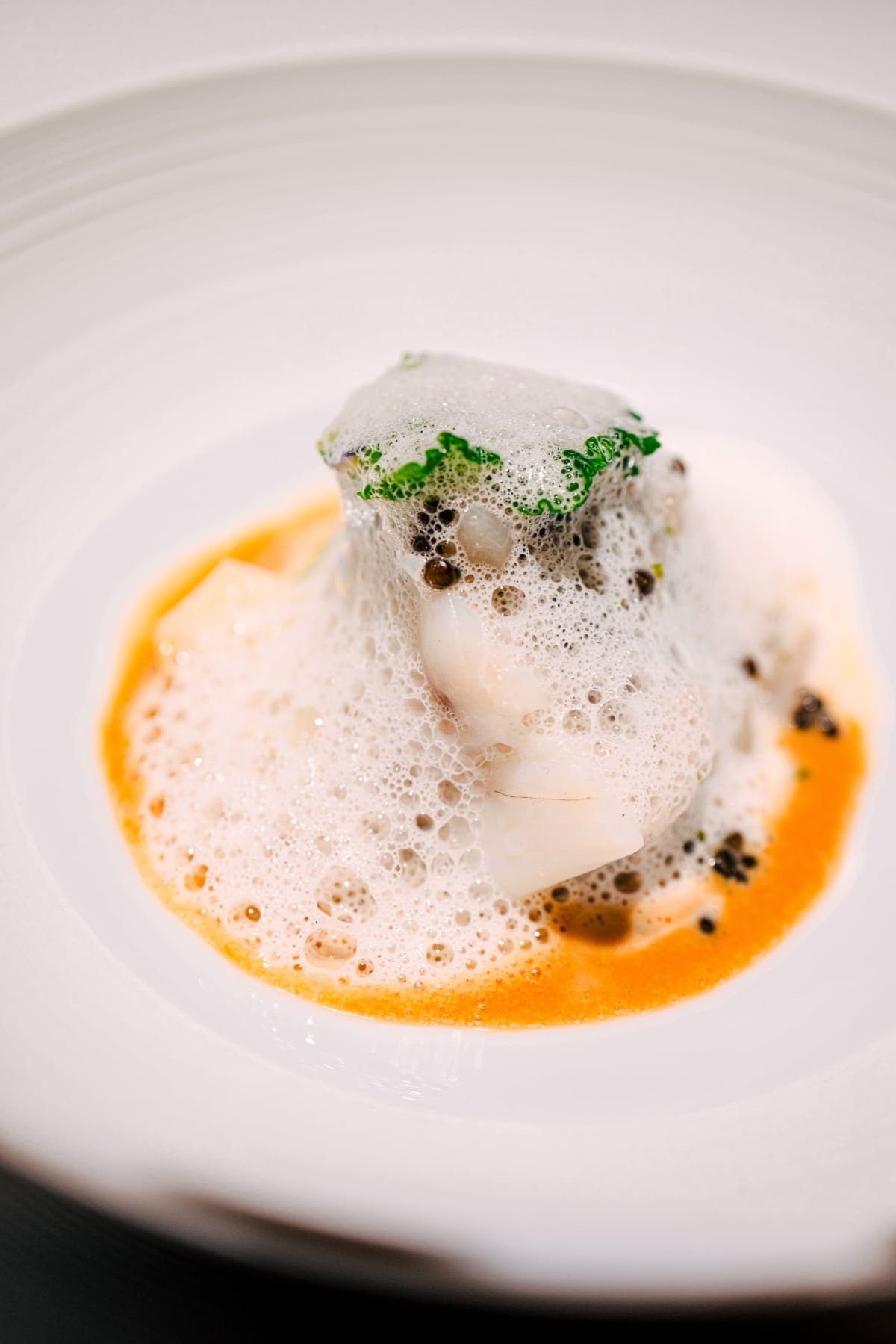 Hommage, Tokyo: The Sea Bream (4)