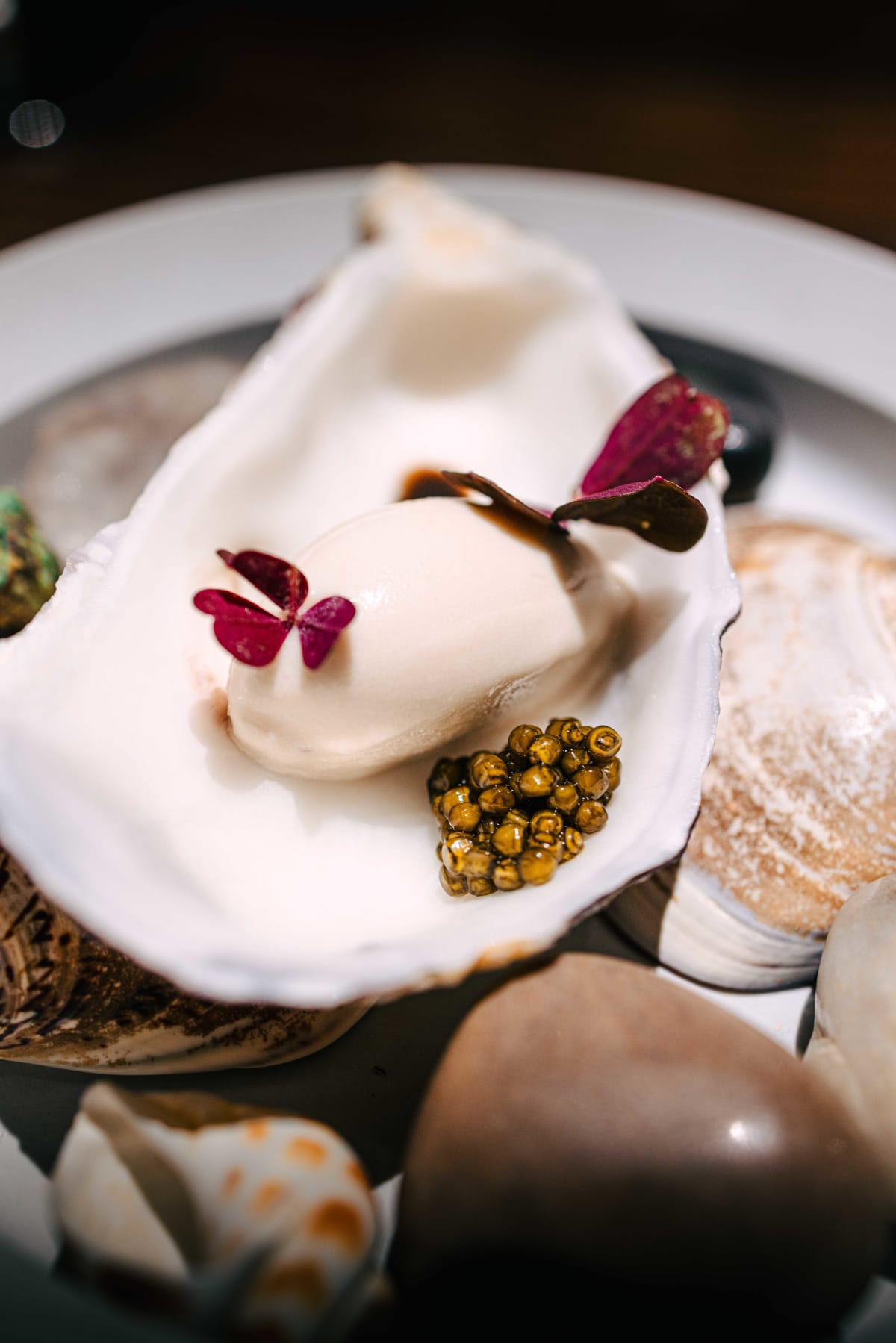 VINHO, Seoul: Oyster, Landlocked (3)