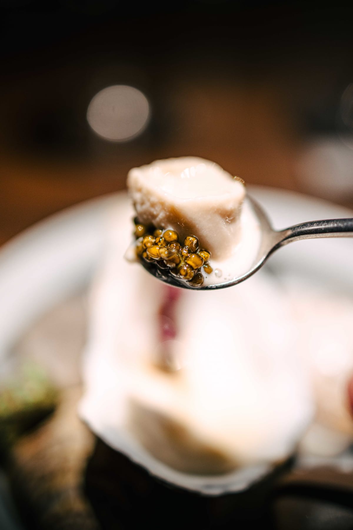 VINHO, Seoul: Oyster, Landlocked (5)