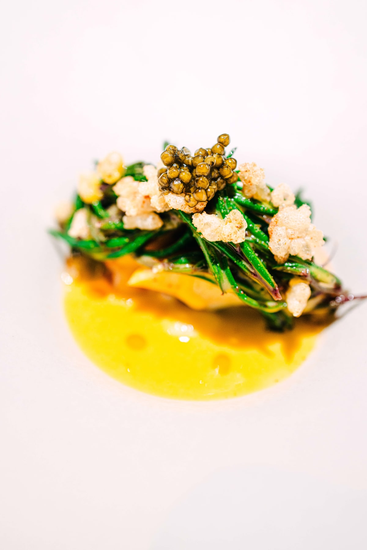 VINHO, Seoul: Abalone, Direct (5)