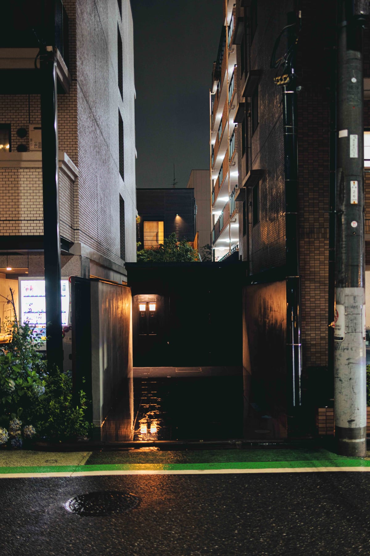 Kasahara, Tokyo: Why Yakitori (2)