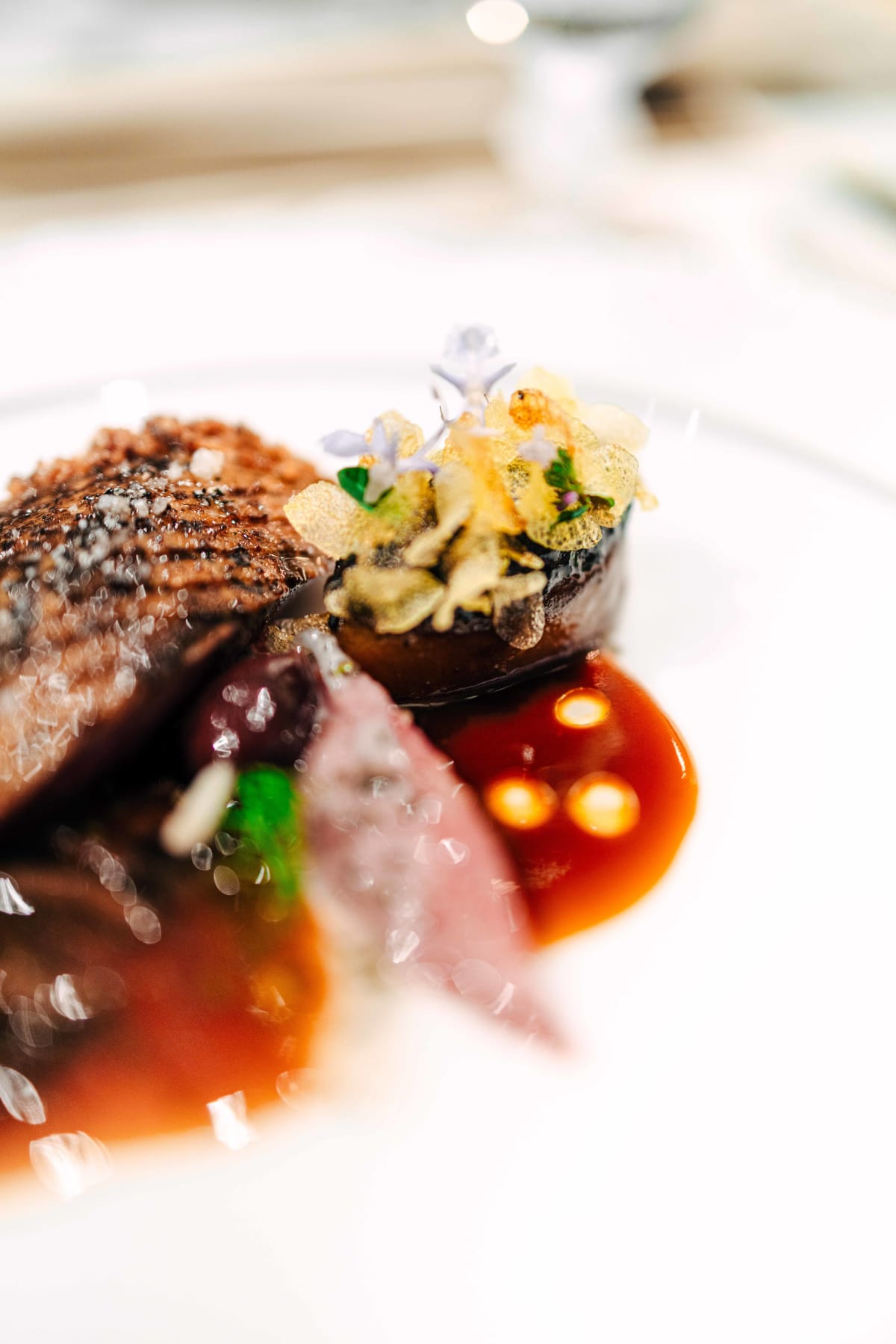 Plénitude, Paris: Pigeon (2)
