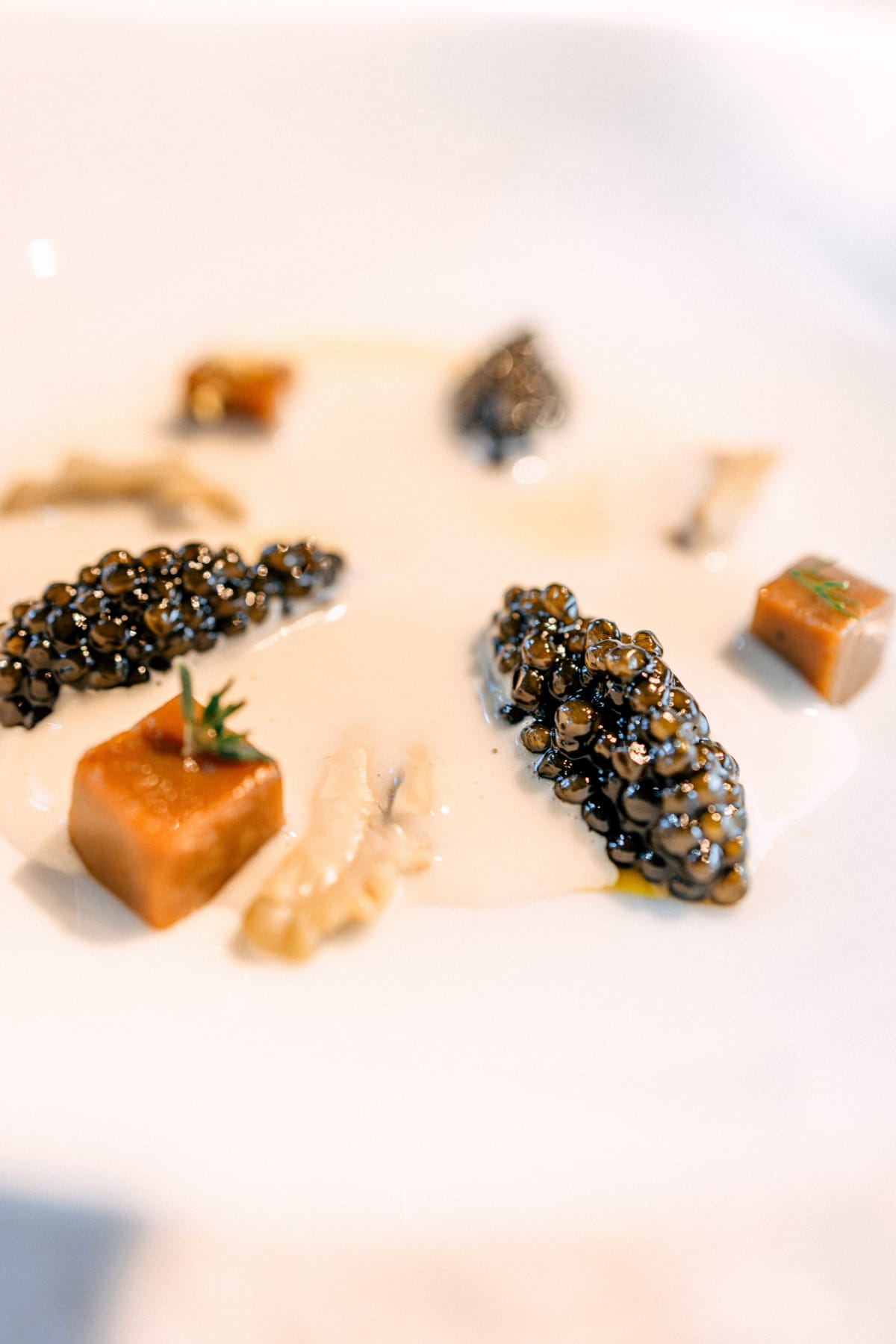 El Celler de Can Roca, Girona: Ingredients Examined (3)
