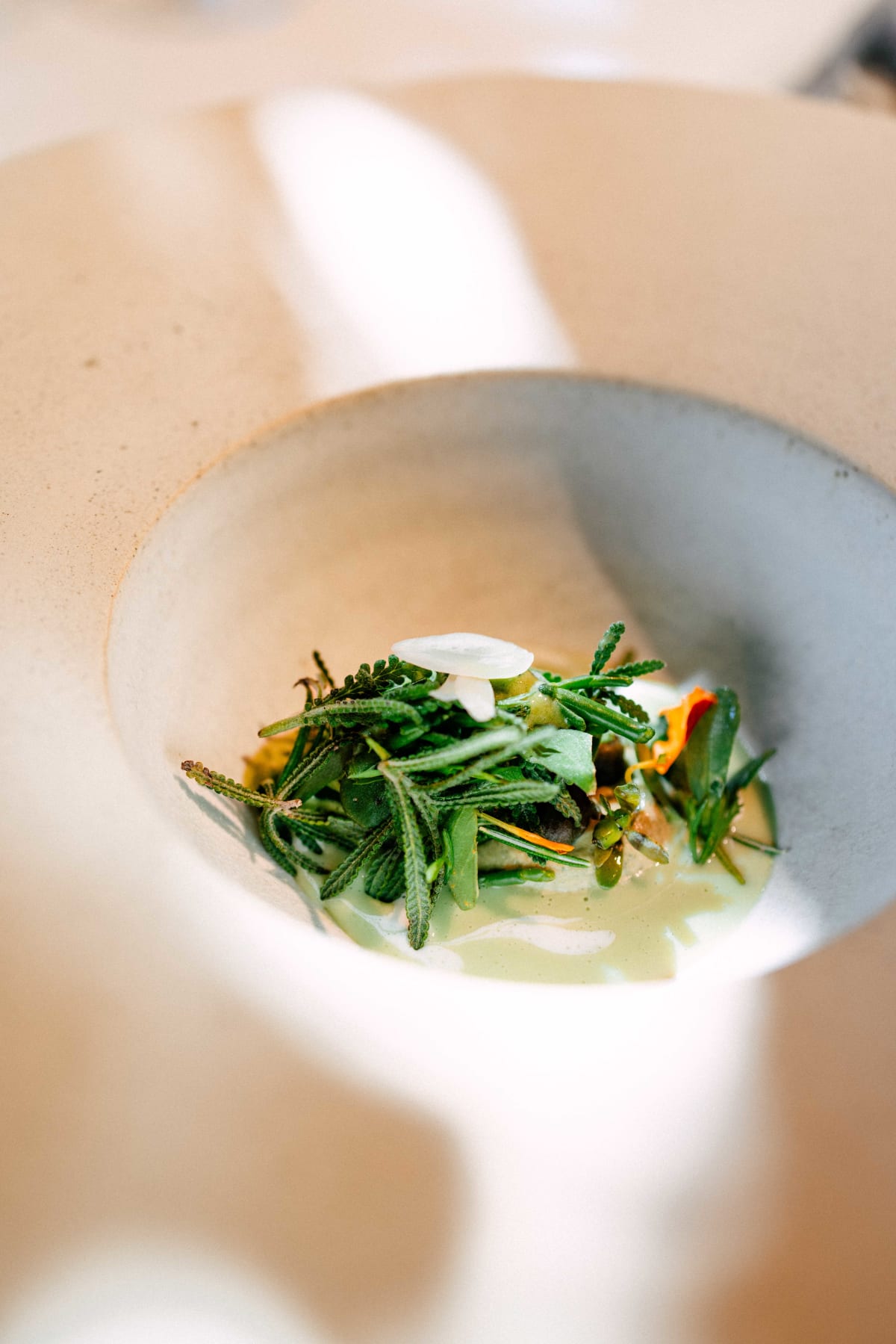 El Celler de Can Roca, Girona: Ingredients Examined (5)
