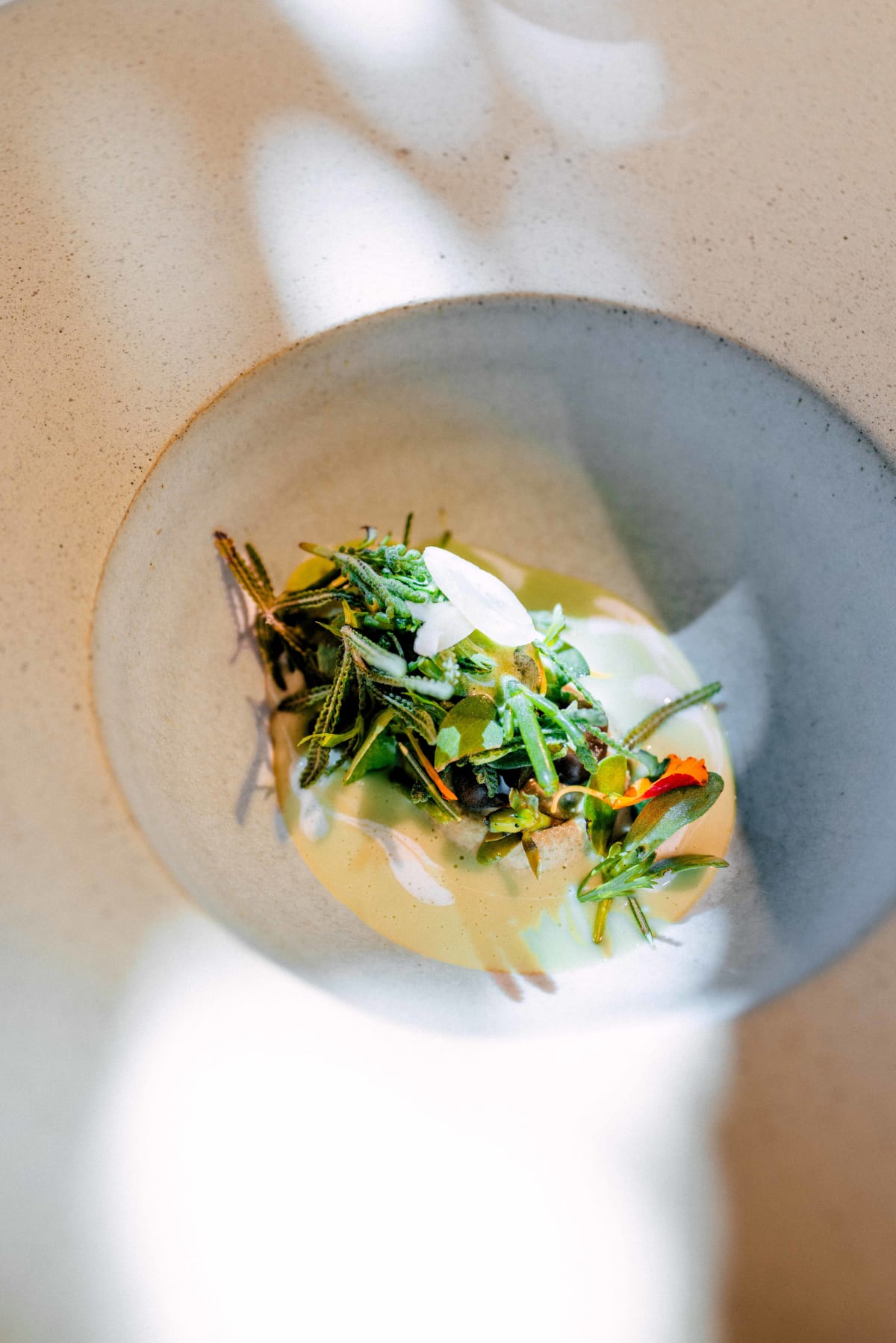 El Celler de Can Roca, Girona: Ingredients Examined (6)