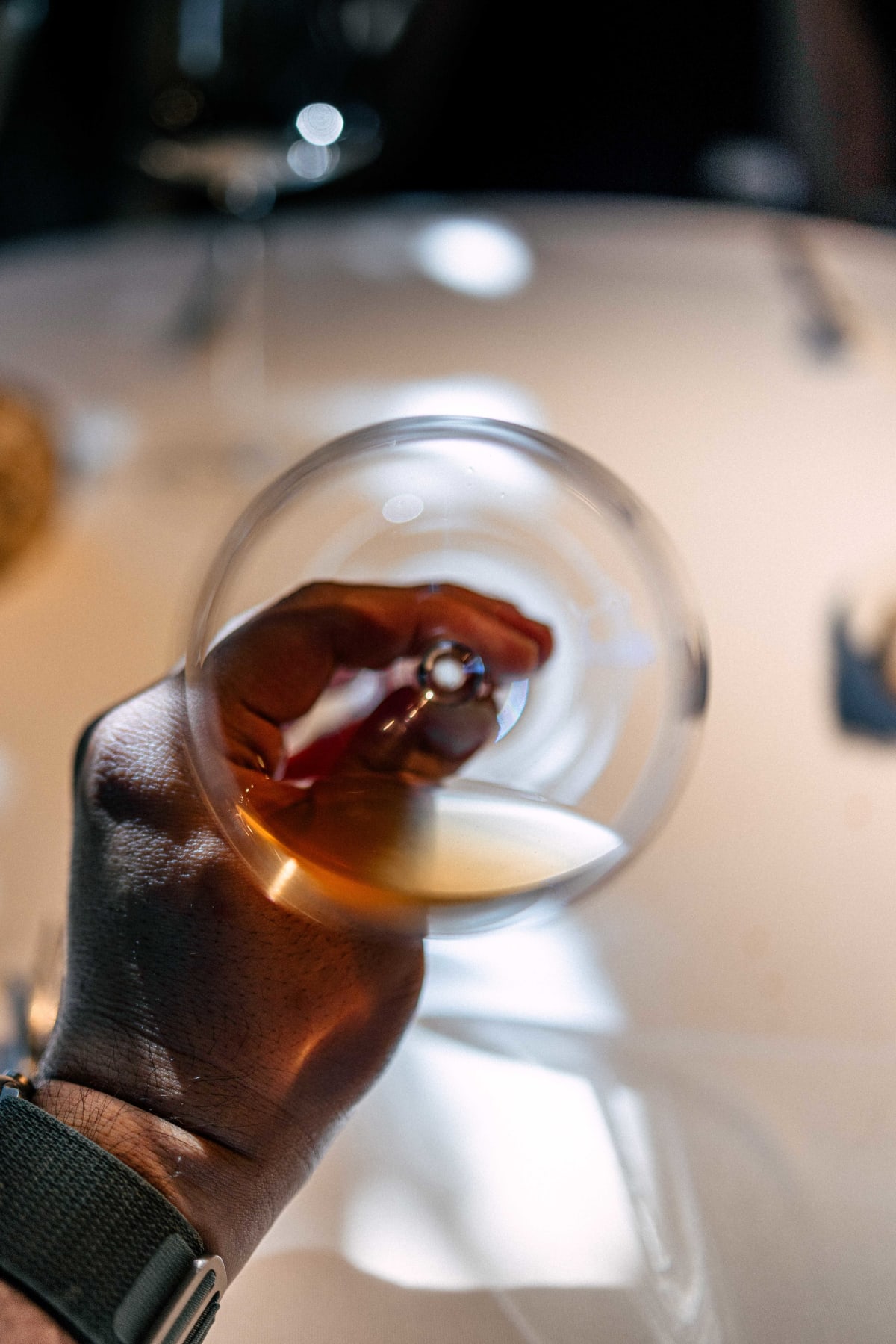 El Celler de Can Roca, Girona: Ingredients Examined (12)