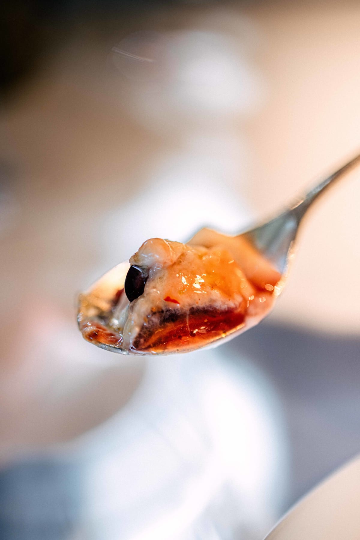 El Celler de Can Roca, Girona: Ingredients Examined (17)