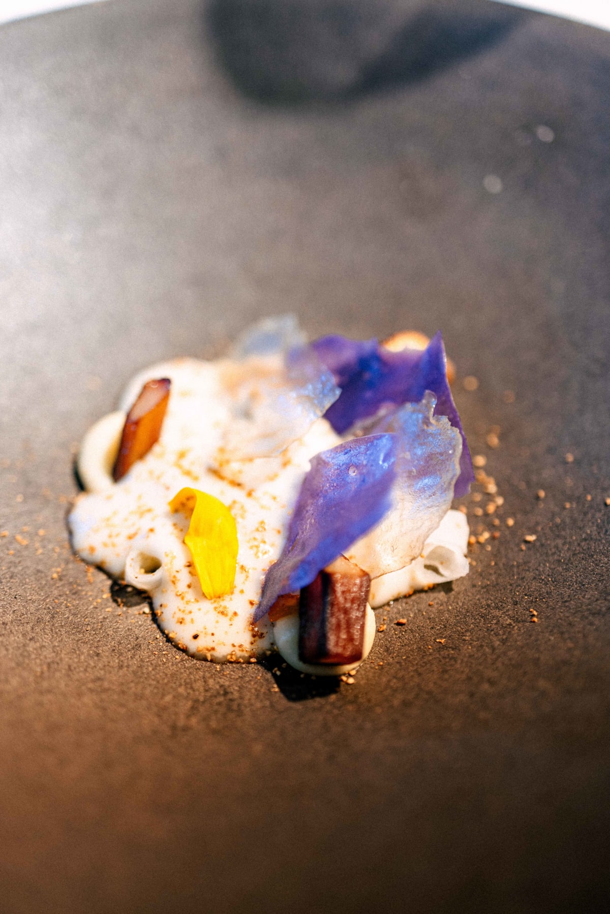 El Celler de Can Roca, Girona: Ingredients Examined (25)