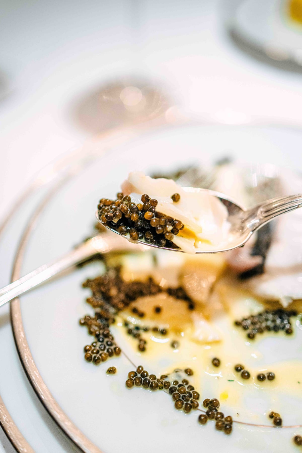 L'Ambroisie, Paris: The Sea Bass (3)