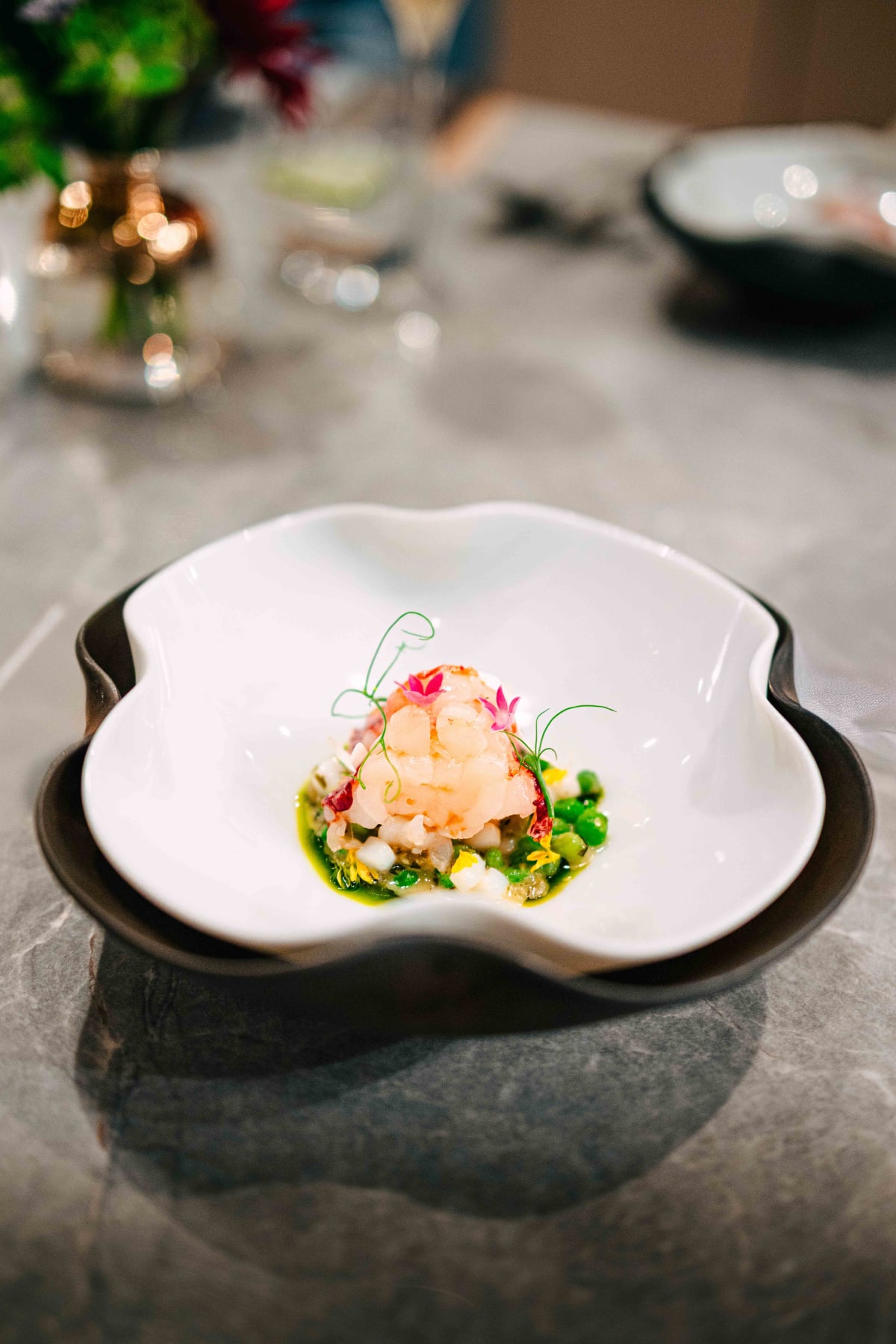 VEA, Central: Striped Jack and Lobster (7)