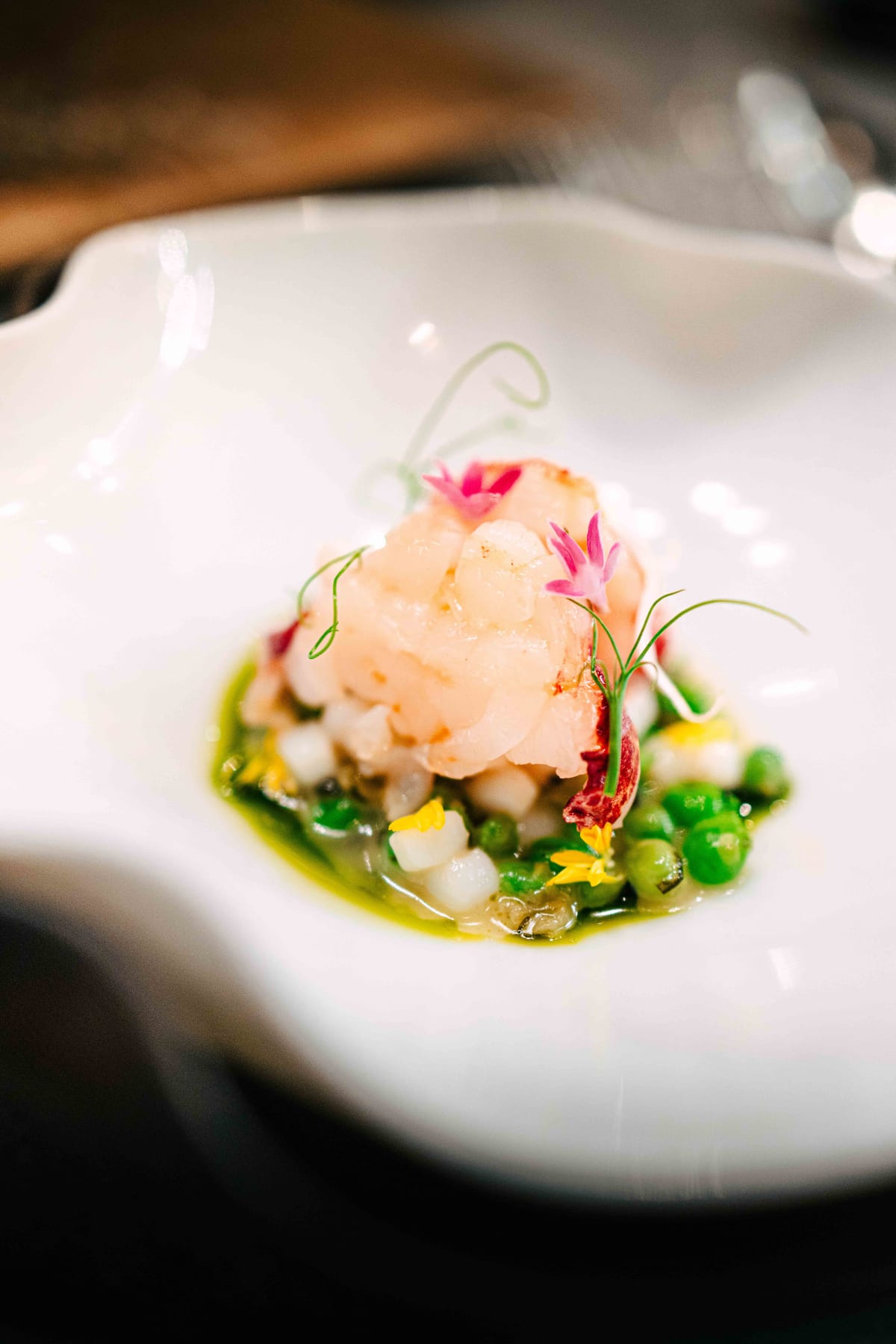 VEA, Central: Striped Jack and Lobster (11)