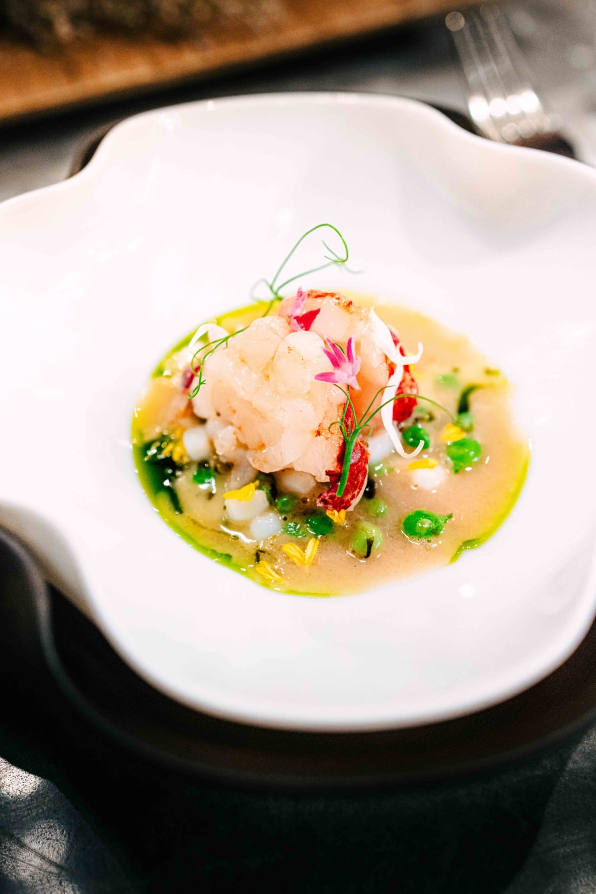 VEA, Central: Striped Jack and Lobster (12)