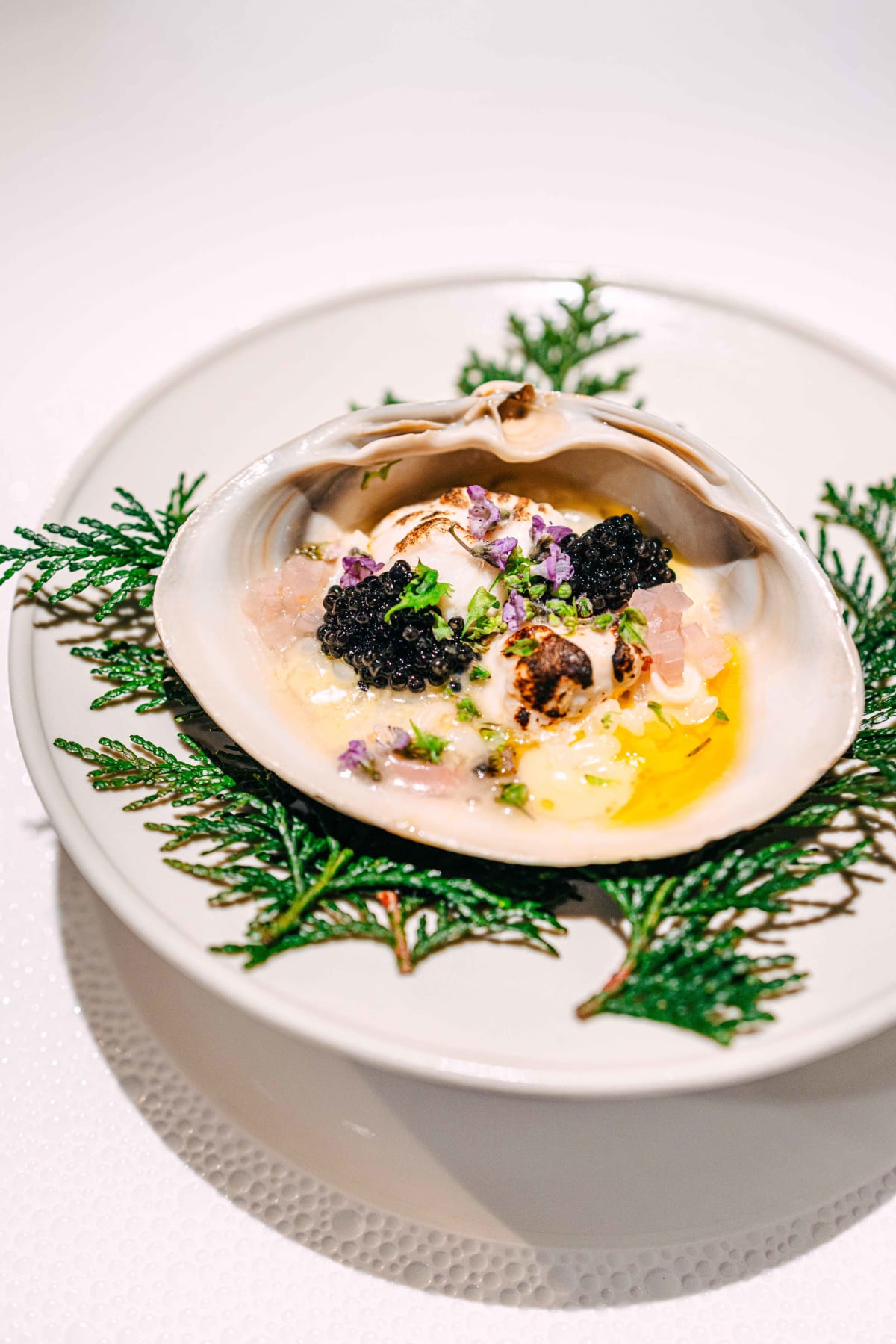 L'Effervescence, Tokyo: further views of the Winter risotto