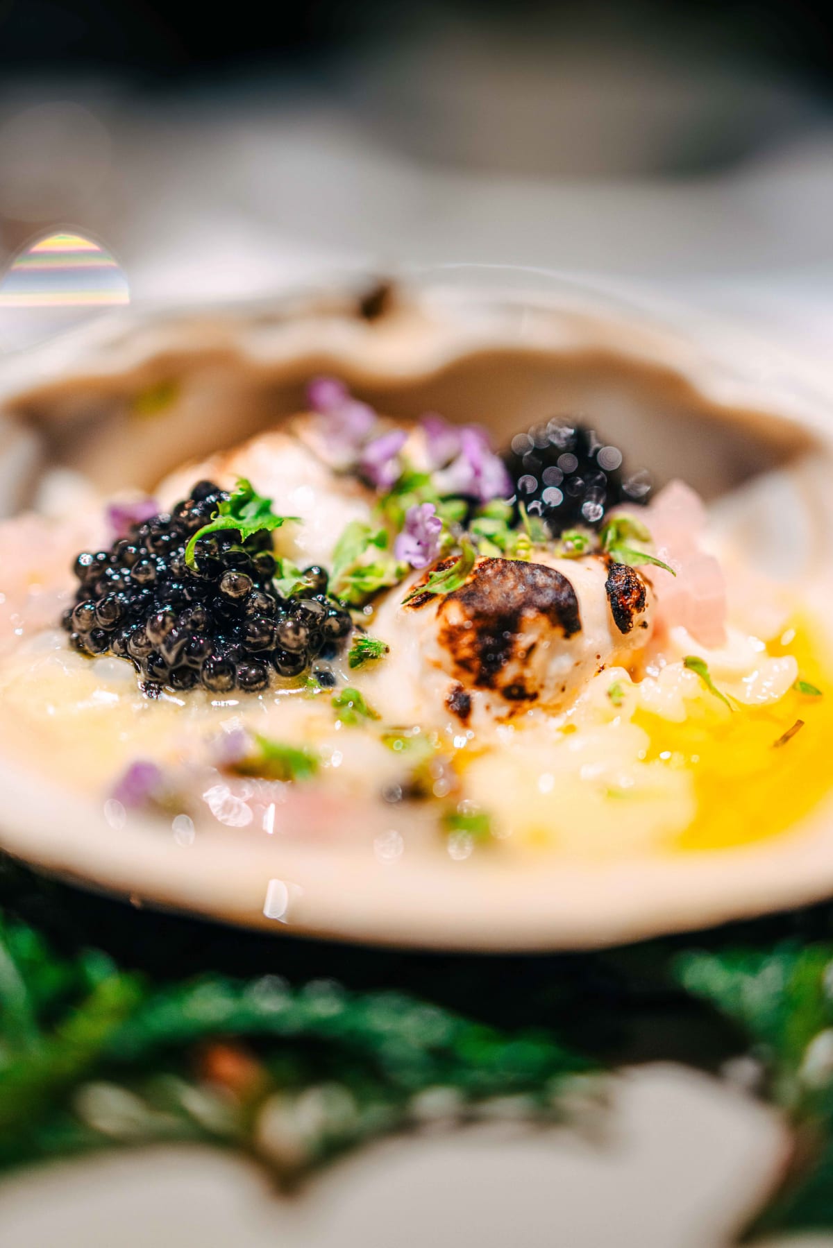 L'Effervescence, Tokyo: Winter, Rice And Milt (7)