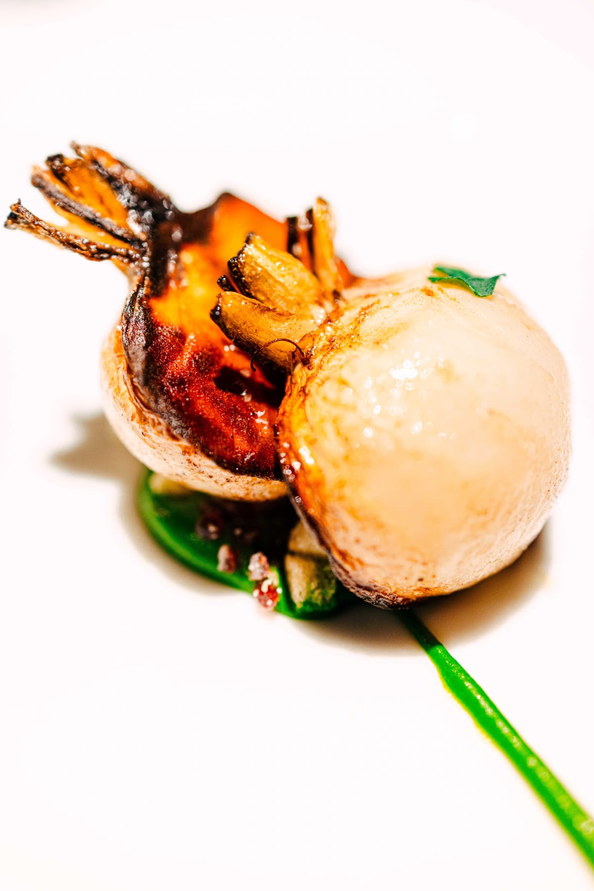 L'Effervescence, Tokyo: Fixed Point, the whole Tokyo turnip