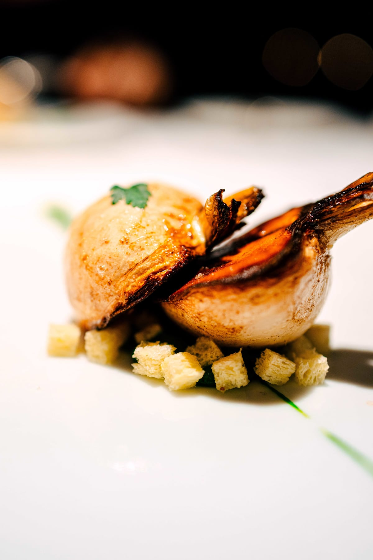 L'Effervescence, Tokyo: The Turnip That Holds (5)