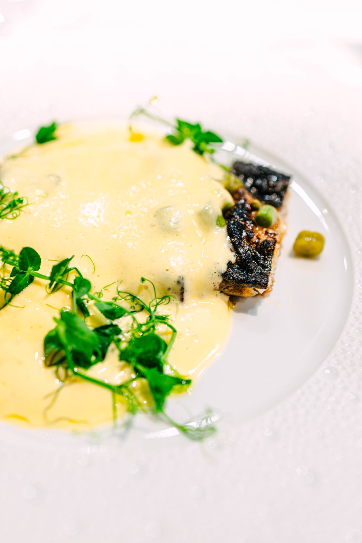 Bistronomy Notre, Seoul: Rully, Then Eel (10)