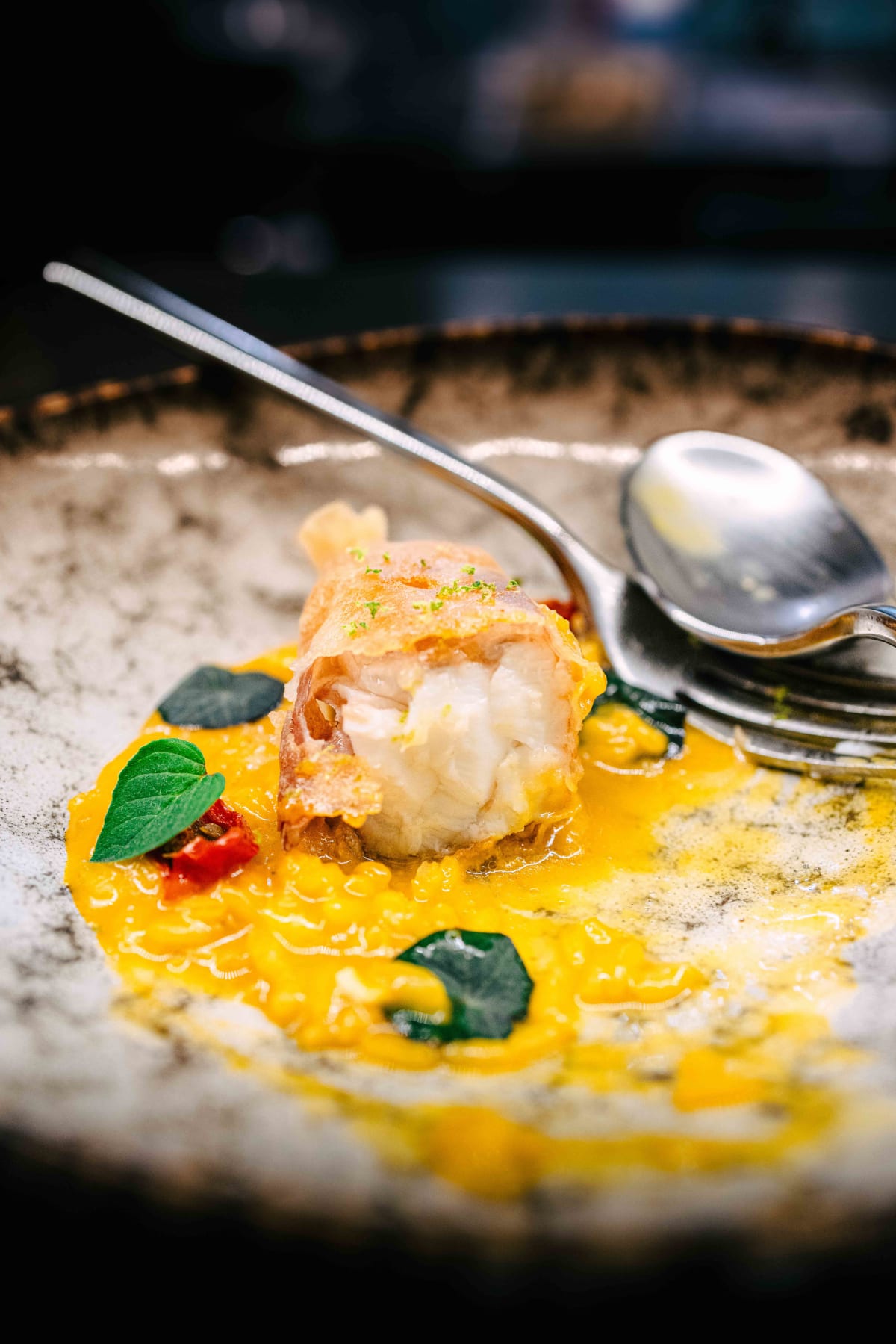 Via Toledo, Seoul: Saffron And Grouper (12)