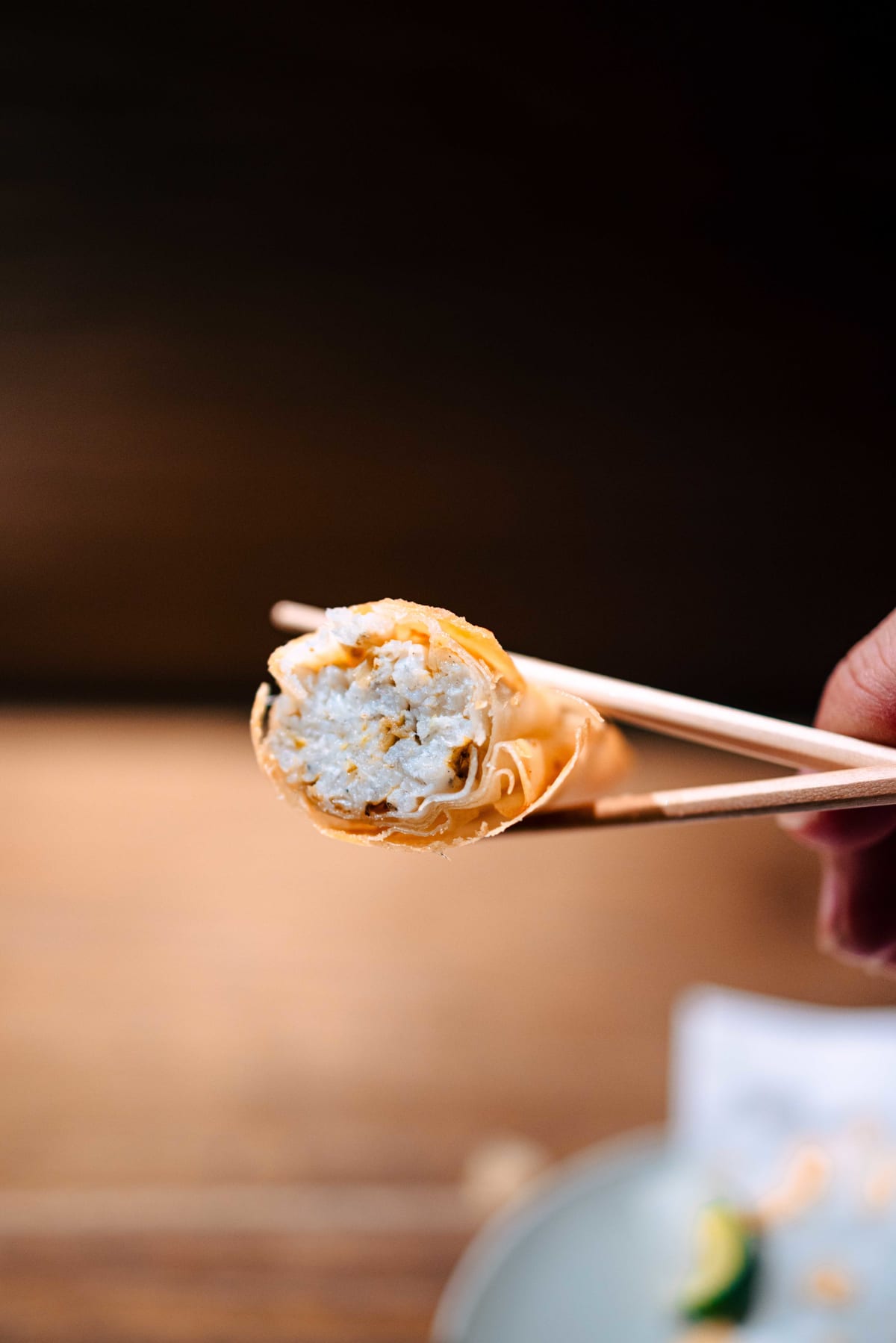 Ippei Hanten, Tokyo: Icefish Spring Roll (3)