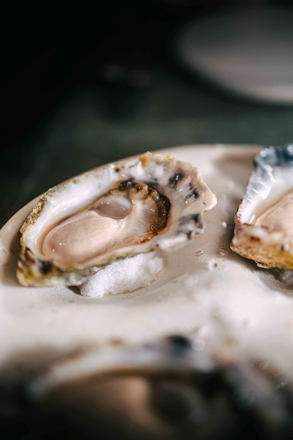 Saint Peter, Sydney: the Sapphire oyster