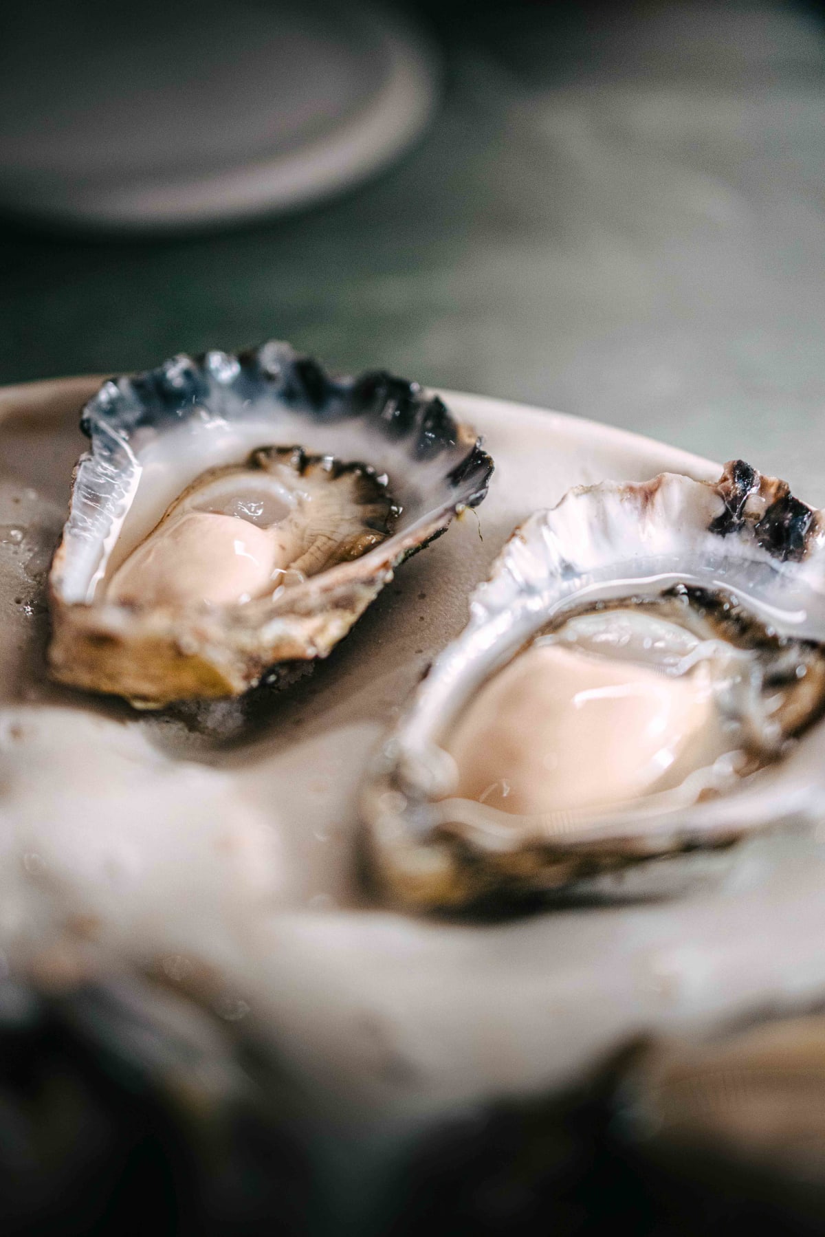 Saint Peter, Sydney: Three Oysters (6)