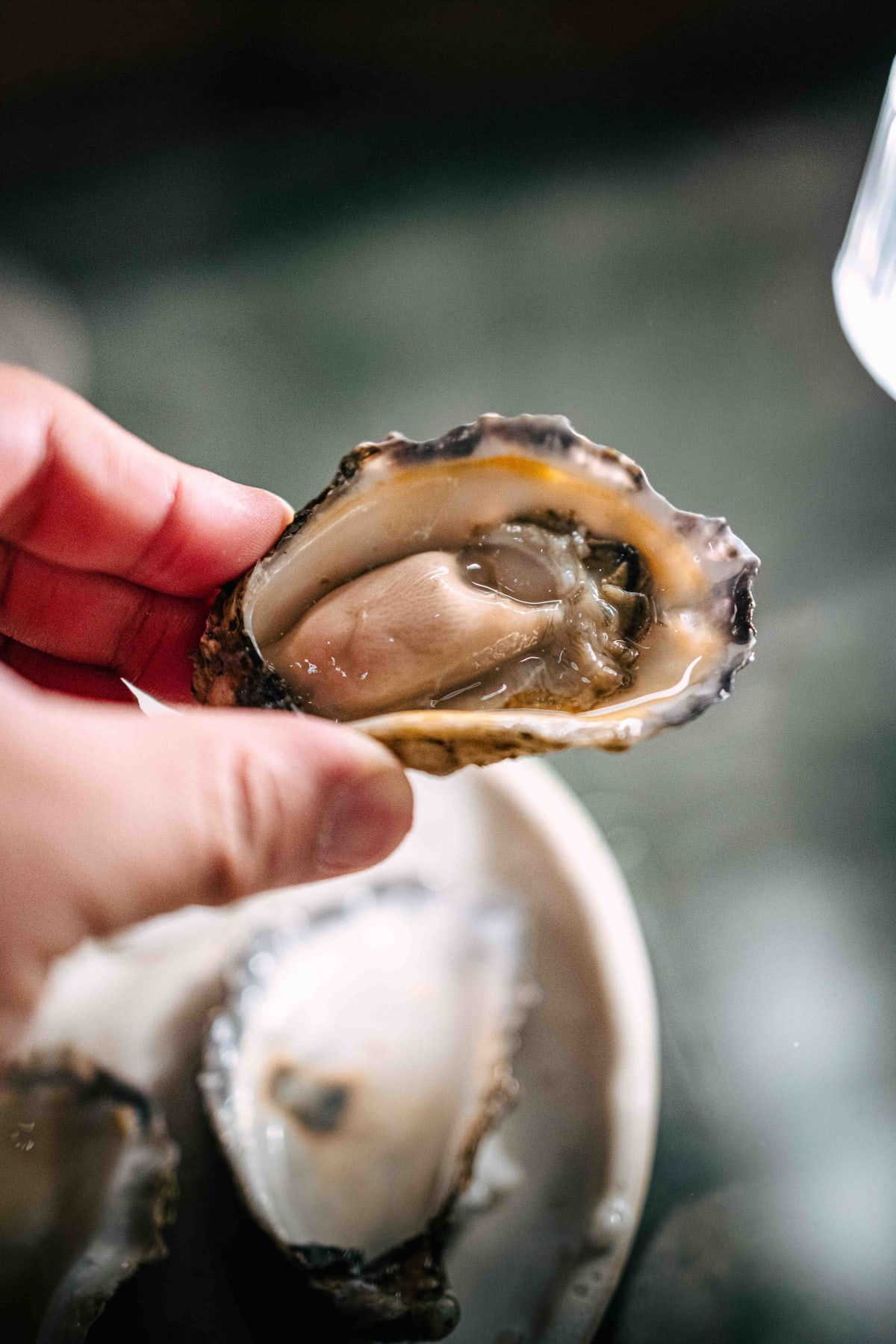 Saint Peter, Sydney: Three Oysters (10)