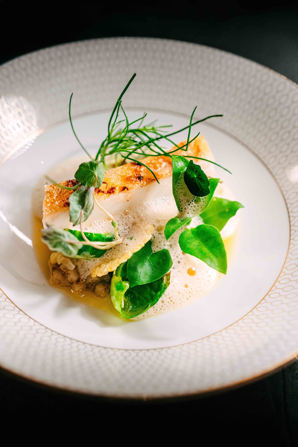 Saint Peter, Sydney: the hand line caught coral trout