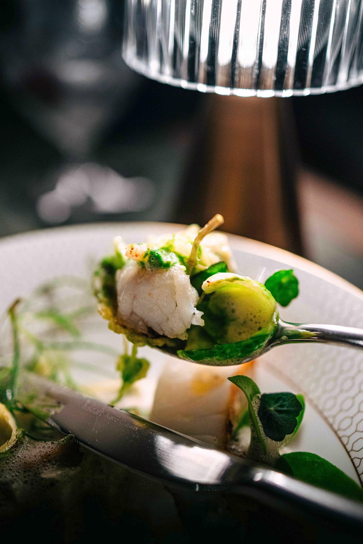 Saint Peter, Sydney: the coral trout lifted with the greenery