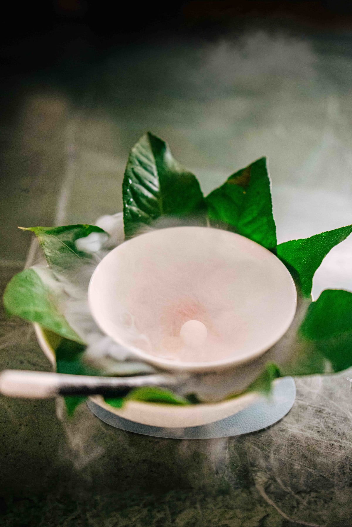 Saint Peter, Sydney: further views of the sorbet
