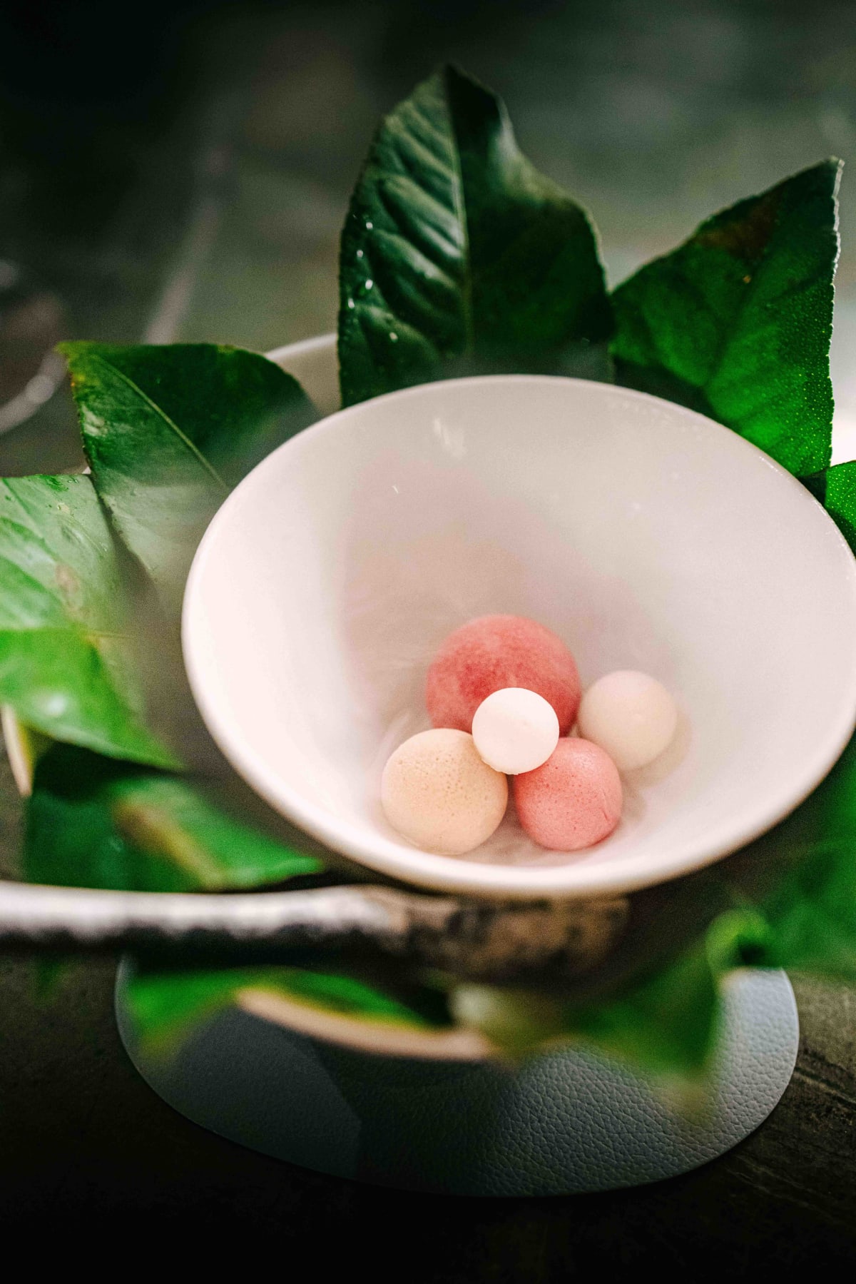 Saint Peter, Sydney: the native fruit sorbet